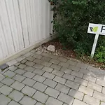 Апартаменты Gartenappartement Ybbs