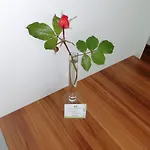 Gartenappartement Ybbs Апартаменты