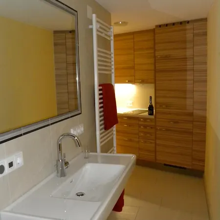 Gartenappartement Ybbs Apartment