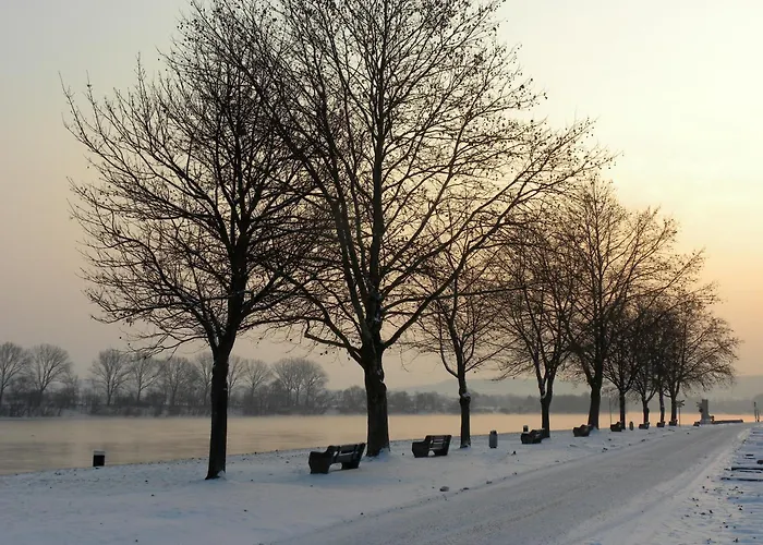 公寓 伊布斯花园公寓 *