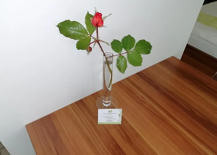 伊布斯花园公寓 公寓