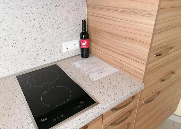 Gartenappartement Ybbs Apartment *